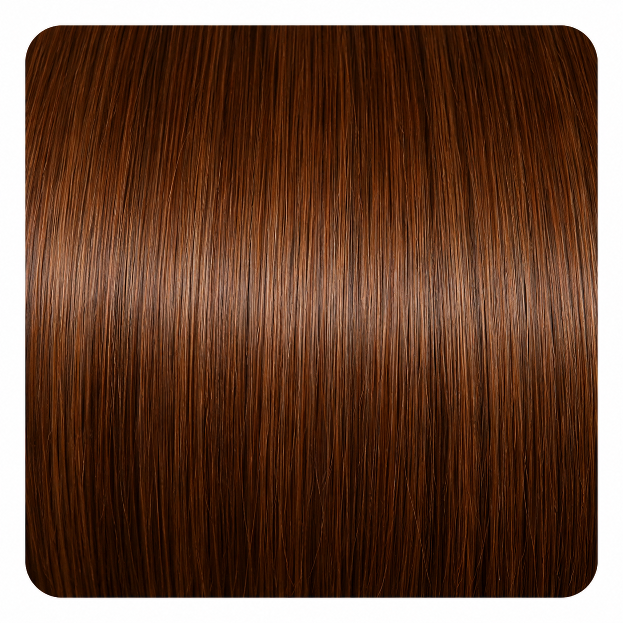 The Classic Bob — SILK