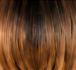 The Veil — WAVES